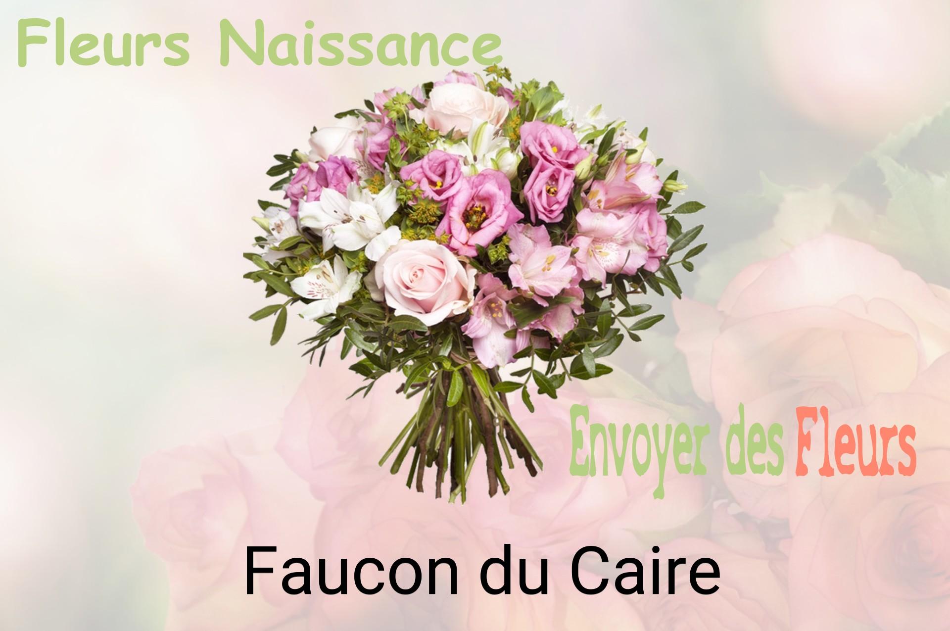Bouquet de fleurs de naissance livré à Faucon-du-Caire